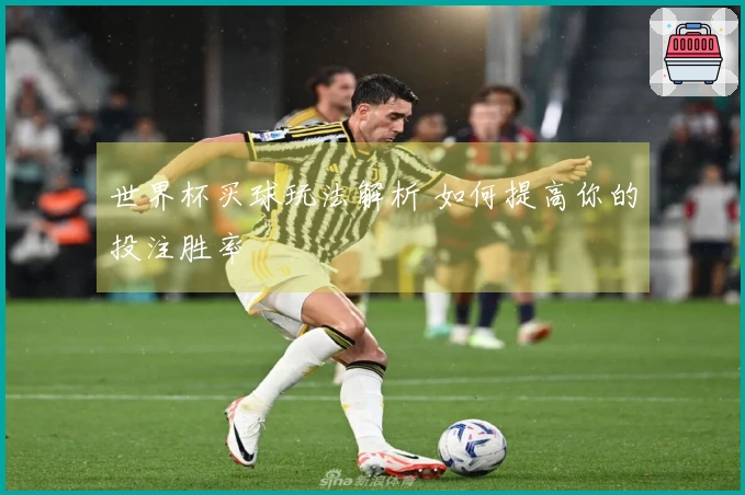 世界杯买球玩法解析 如何提高你的投注胜率