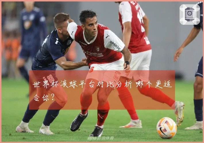 世界杯滚球平台对比分析 哪个更适合你？