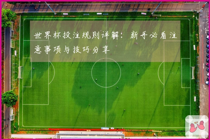 世界杯投注规则详解：新手必看注意事项与技巧分享