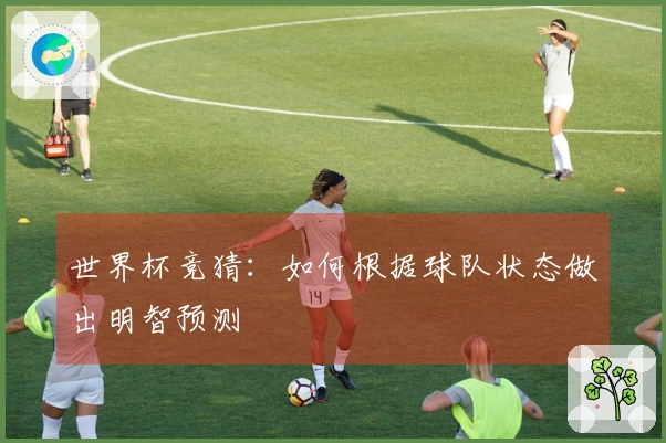 世界杯竞猜：如何根据球队状态做出明智预测