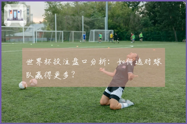 世界杯投注盘口分析:如何选对球队赢得更多?