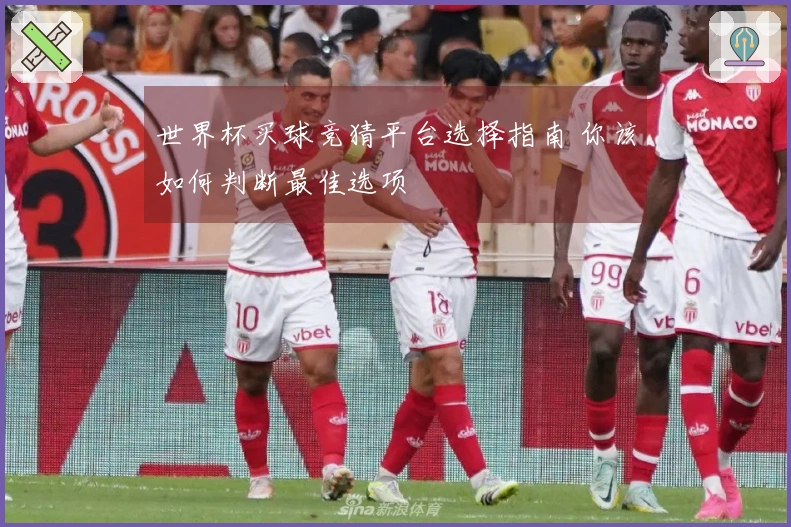 世界杯买球竞猜平台选择指南 你该如何判断最佳选项