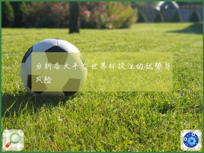 分析各大平台世界杯投注的优势与风险