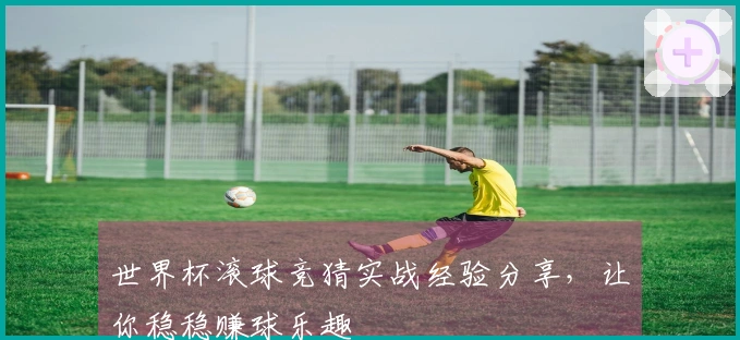 世界杯滚球竞猜实战经验分享，让你稳稳赚球乐趣
