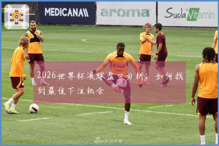 2026世界杯滚球盘口分析：如何找到最佳下注机会