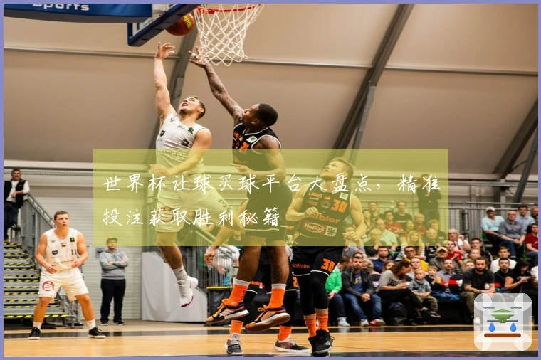 世界杯让球买球平台大盘点，精准投注获取胜利秘籍