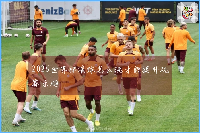 2026世界杯滚球怎么玩才能提升观赛乐趣