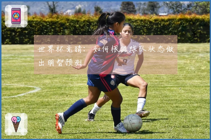 世界杯竞猜：如何根据球队状态做出明智预测