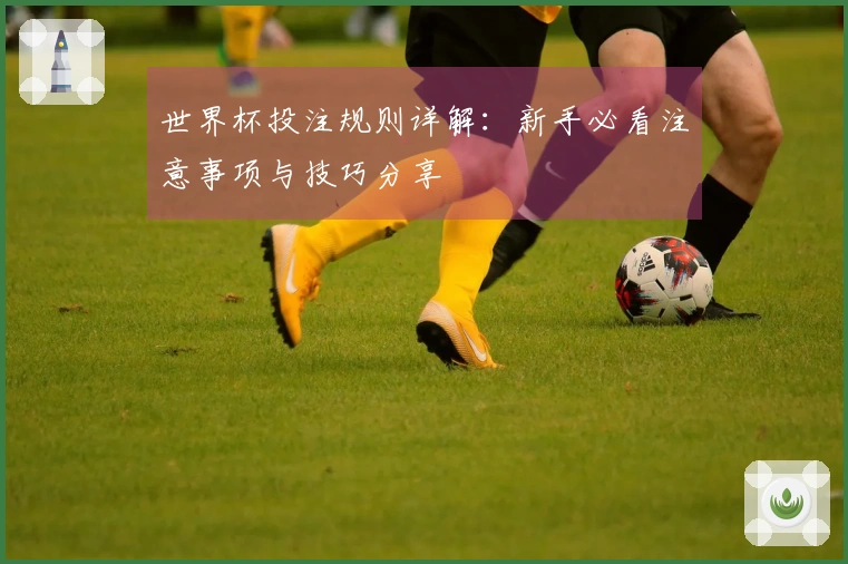 世界杯投注规则详解：新手必看注意事项与技巧分享