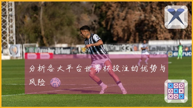 分析各大平台世界杯投注的优势与风险