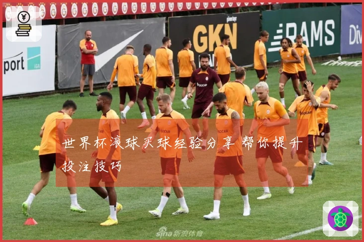 世界杯滚球买球经验分享 帮你提升投注技巧