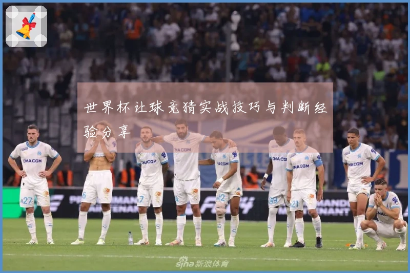 世界杯让球竞猜实战技巧与判断经验分享