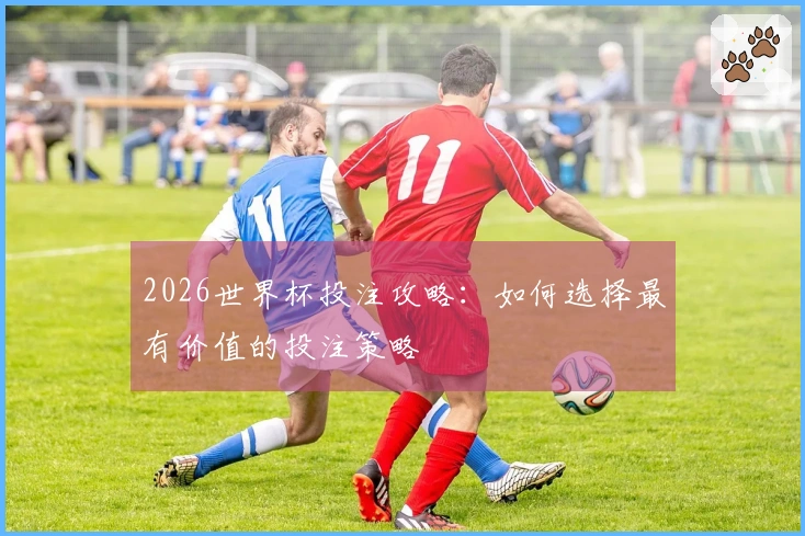 2026世界杯投注攻略：如何选择最有价值的投注策略