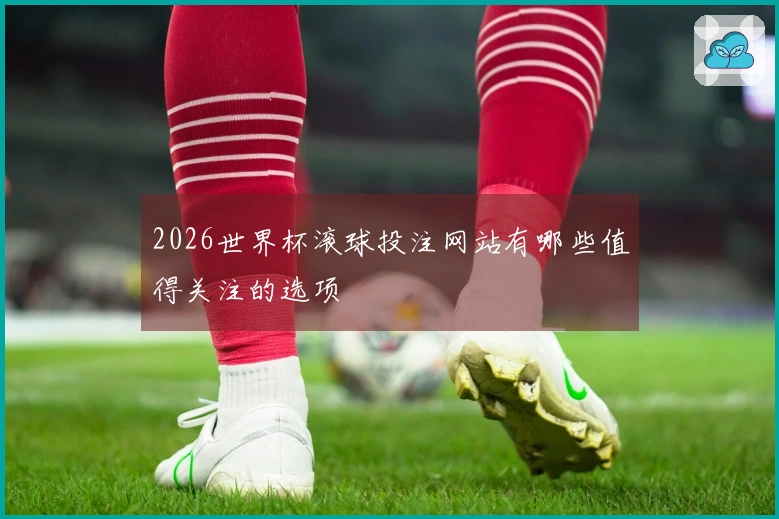 2026世界杯滚球投注网站有哪些值得关注的选项