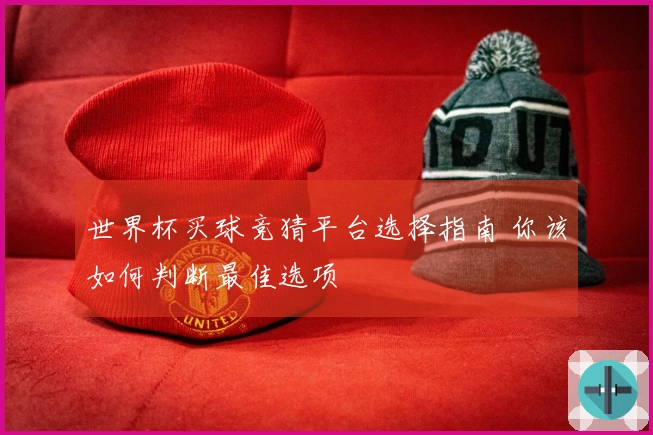 世界杯买球竞猜平台选择指南 你该如何判断最佳选项