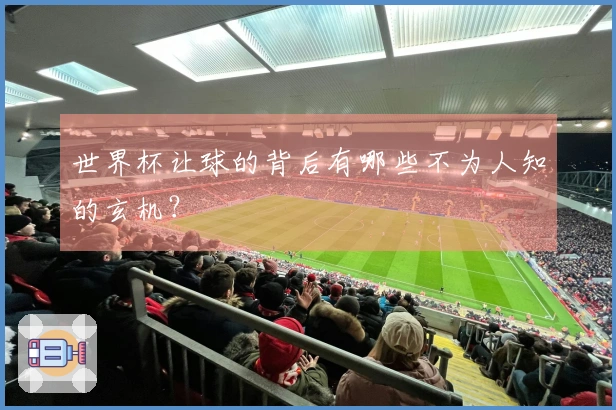 世界杯让球的背后有哪些不为人知的玄机？